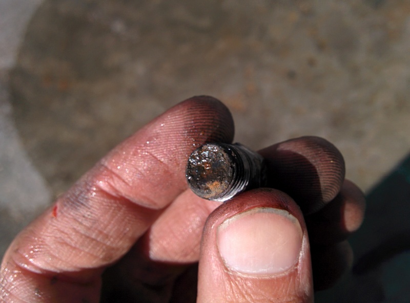 File:IMG 20141110 154441.jpg